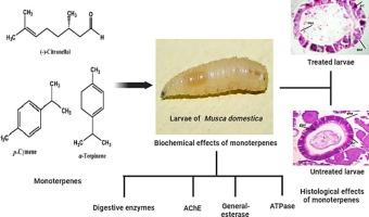 Insecticidal, biochemical and histological effects of monoterpenes against Musca domestica (Diptera: Muscidae)