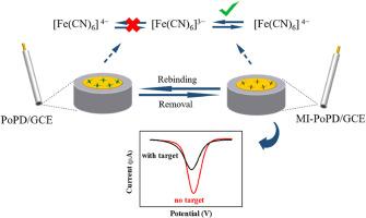 An electrochemical sensor based on molecularly imprinted poly(o-phenylenediamine) for the detection of thymol