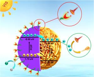 Spatial separation of photocarriers and selective adsorption on flower-like core-shell heterojunction of Cr(VI) imprinted polymer@BiOI for boosted photocatalytic Cr(VI) reduction