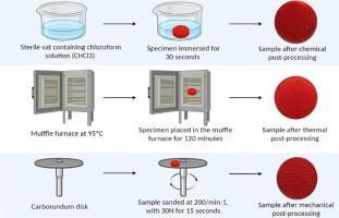 Influence of post-processing on the adhesion of dual-species biofilm on polylactic acid obtained by additive manufacturing