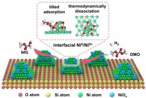 In situ exsolution to fabricate interfacial Ni0/Niδ+ sites for regulating reaction pathways in hydrogenation