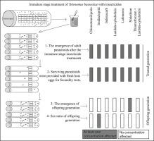 Lethal and sublethal effects of various insecticides on the immature stages of the solitary egg parasitoid, Telenomus busseolae