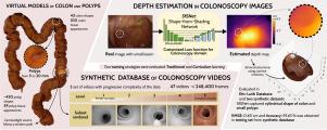 Leveraging a realistic synthetic database to learn Shape-from-Shading for estimating the colon depth in colonoscopy images