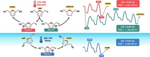 Unraveling selectivity in non-noble metal-catalyzed hydrogenation of 5-hydroxymethylfurfural (HMF) through mechanistic insights