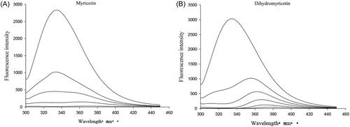 Myricetin and dihydromyricetin as JNK1 inhibitors protect against ROS-mediated oxidative stress and apoptosis