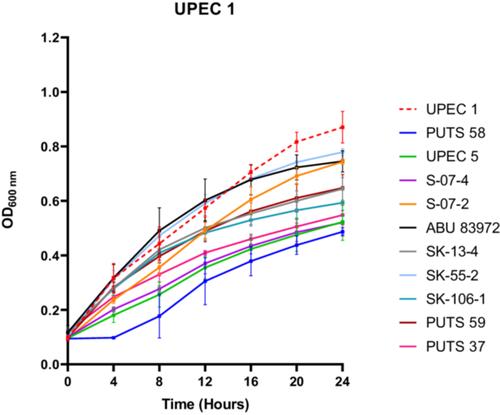 Turbidimetric bioassays: A solution to antimicrobial activity detection in asymptomatic bacteriuria isolates against uropathogenic Escherichia coli