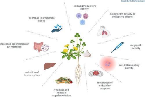 Recent research progress in the plant contribution to the management of tuberculosis