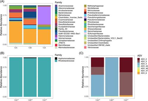 Sulfur cycling likely obscures dynamic biologically-driven iron redox cycling in contemporary methane seep environments