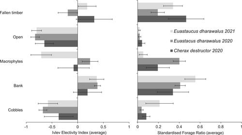 Activity, movement and habitat-use patterns of a critically endangered endemic Australian freshwater crayfish