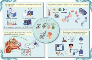 Unlocking the opportunities for creating sustainable, flavorful and healthy high-protein “blue foods”: Focusing on the impacts of protein-flavor interactions