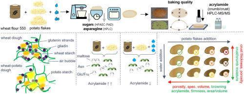 Special bakery products - Acrylamide formation and bread quality are influenced by potato addition