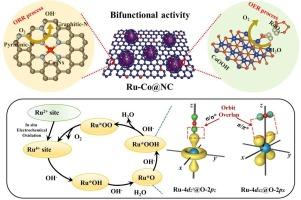 Cobalt@Ruthenium Core@Shell nanoparticles embedded within nitrogen-doped carbon nanosheets as reversible oxygen electrocatalysts