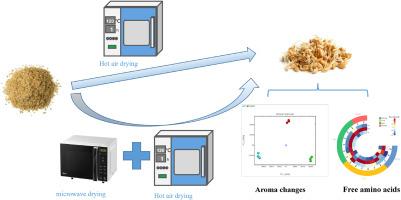 The effects of different drying methods on the flavor profile of wheat germ using E-nose and GC-IMS