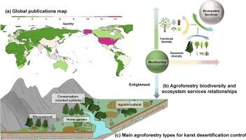 A review of agroforestry biodiversity-driven provision of ecosystem services and implications for karst desertification control