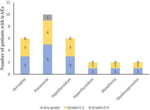 Efficacy and safety of PD-1/PD-L1 inhibitors in elderly patients with advanced non-small cell lung cancer