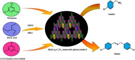 Shining bright: B@S-codoped graphitic carbon nitride nanorods illuminate enhanced catalytic C-N bond formation under visible-light