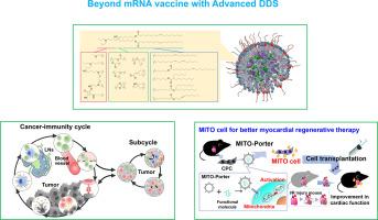 The impact of, and expectations for, lipid nanoparticle technology: From cellular targeting to organelle targeting