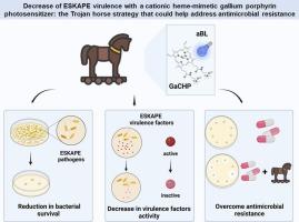 Decrease of ESKAPE virulence with a cationic heme-mimetic gallium porphyrin photosensitizer: The Trojan horse strategy that could help address antimicrobial resistance