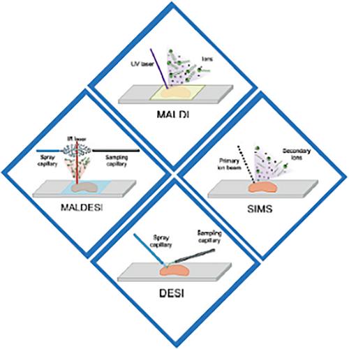 Imaging with mass spectrometry: Which ionization technique is best? By Boone M. Prentice