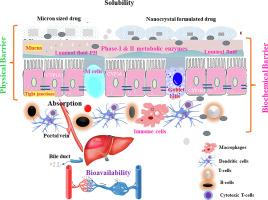 Evaluation of gender differences in the pharmacokinetics of oral zileuton nanocrystalline formulation using a rat model