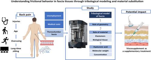 Understanding frictional behavior in fascia tissues through tribological modeling and material substitution