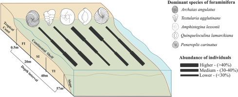 Benthic foraminifera as depth estimators in the tropical carbonate shelf of northeastern Brazil