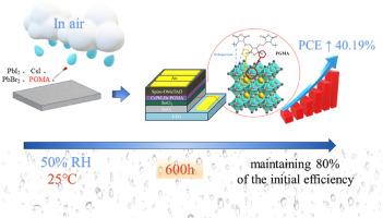 Optimization of the performance of CsPbI2Br perovskite solar cells in air by adding polyethylene-graft-maleic anhydride and its mechanism