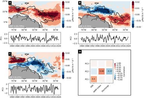 Interannual Variability of Marine Nitrogen Fixation in the Western Tropical Atlantic