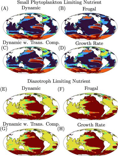 Impact of Dynamic Phytoplankton Stoichiometry on Global Scale Patterns of Nutrient Limitation, Nitrogen Fixation, and Carbon Export