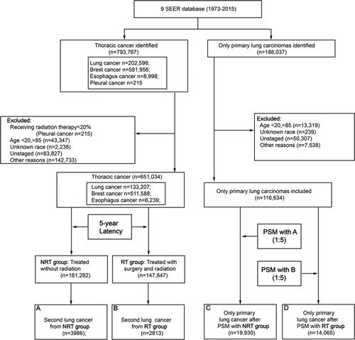 Risk and prognosis of secondary lung cancer after radiation therapy for thoracic malignancies