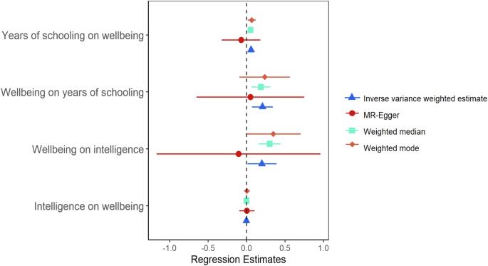 An exploration into the causal relationships between educational attainment, intelligence, and wellbeing: an observational and two-sample Mendelian randomisation study