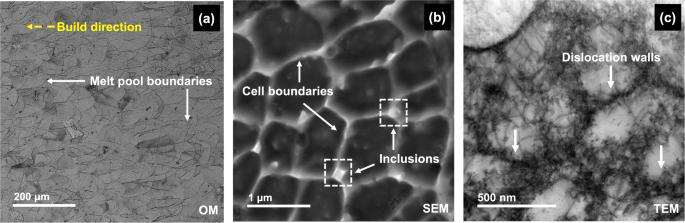 Localized corrosion in selective laser melted SS316L in CO2 and H2S brines at elevated temperatures