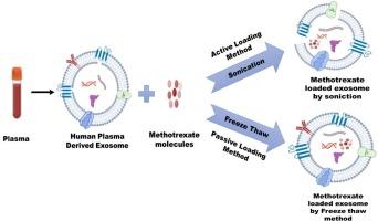 Human plasma derived exosomes: Impact of active and passive drug loading approaches on drug delivery