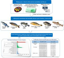 Database construction and comparative genomics analysis of genes involved in nutritional metabolic diseases in fish