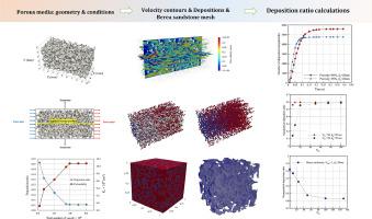 Transport and deposition of nanoparticles in porous media at the pore scale using an Eulerian-Lagrangian method