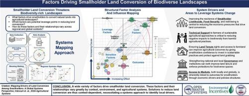 Mapping drivers of land conversion among smallholders: A global systems perspective