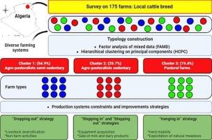 Typology analysis of cattle farms in Northeast Algeria: Potential for sustainable development