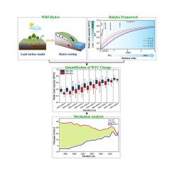 Quantifying the altitudinal response of water yield capacity to climate change in an alpine basin on the Tibetan Plateau through integrating the WRF-Hydro and Budyko framework