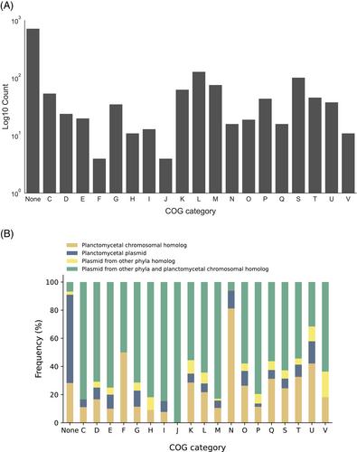 Specificities and commonalities of the Planctomycetes plasmidome