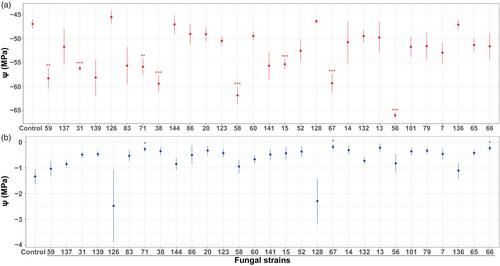 Enhancement of soil aggregation and physical properties through fungal amendments under varying moisture conditions