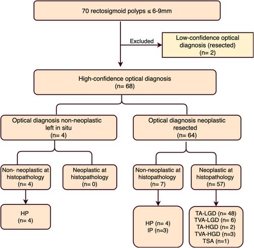 Implementing narrow banding imaging with dual focus magnification for histological prediction of small rectosigmoid polyps in Vietnamese setting