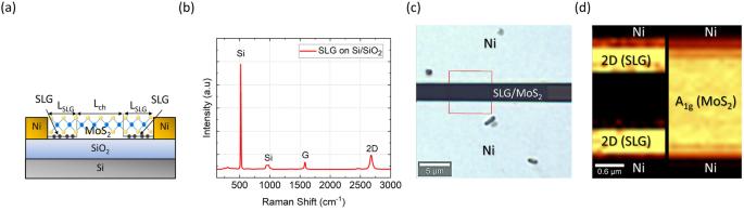 CVD graphene contacts for lateral heterostructure MoS2 field effect transistors