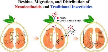 Elevated accumulation and distinct migration patterns of neonicotinoids compared to traditional insecticides in South China typical orchard