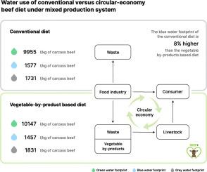 The water footprint of Spanish Ternera de Navarra PGI beef: Conventional versus novel feeding based on vegetable by-products from the local food industry