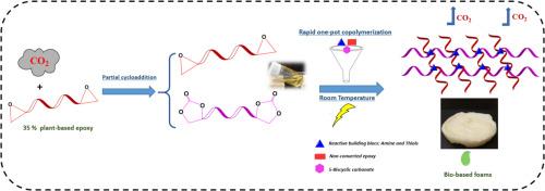 Self-blowing, hybrid non-isocyanate polyurethane foams produced at room temperature