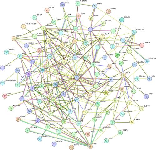 Novel progressive deep learning algorithm for uncovering multiple single nucleotide polymorphism interactions to predict paclitaxel clearance in patients with nonsmall cell lung cancer