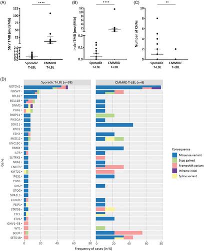 T-cell lymphoblastic lymphoma in constitutional mismatch repair deficiency (CMMRD): Exploring treatment opportunities