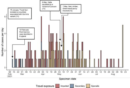 Descriptive Epidemiology of Travel and Non-Travel Related SARS-CoV-2 Gamma (P.1/501Y.V3) Variant Cases in England, 2021