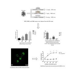 Molecular characterization and functional analysis of Eimeria tenella ankyrin repeat-containing protein