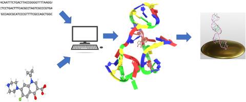 In silico modelling of ciprofloxacin specific aptamer for the development of high-performance biosensor